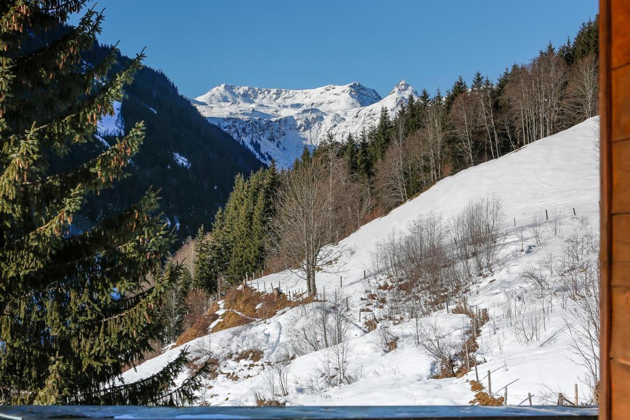 Appartementhaus Tannenberg 萨尔巴赫 外观 照片